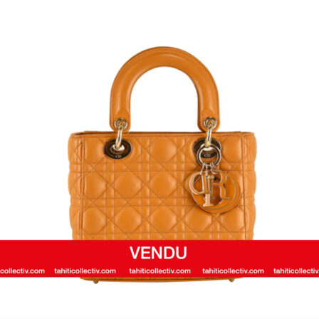 DIOR - Lady DIOR small (rare par sa couleur, peu d'exemplaires)