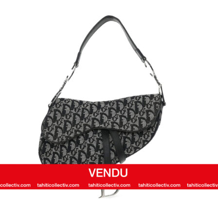 DIOR - SADDLE en toile Dior oblique noir et grise