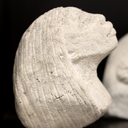 MARA V - Sculpture sur corail (14)